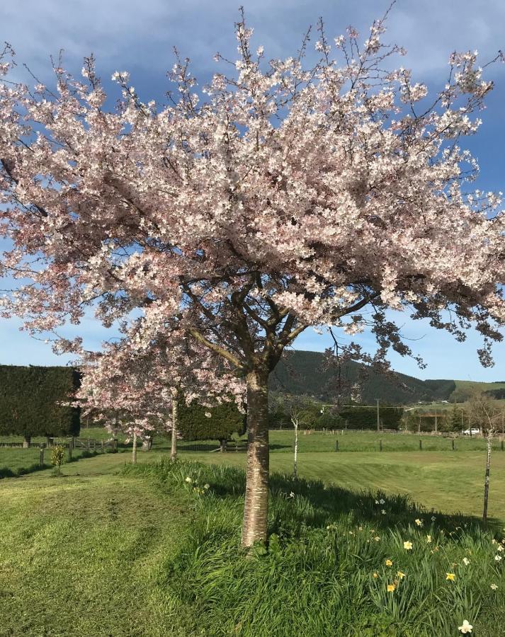 Tai Tapu Lodge Eksteriør bilde